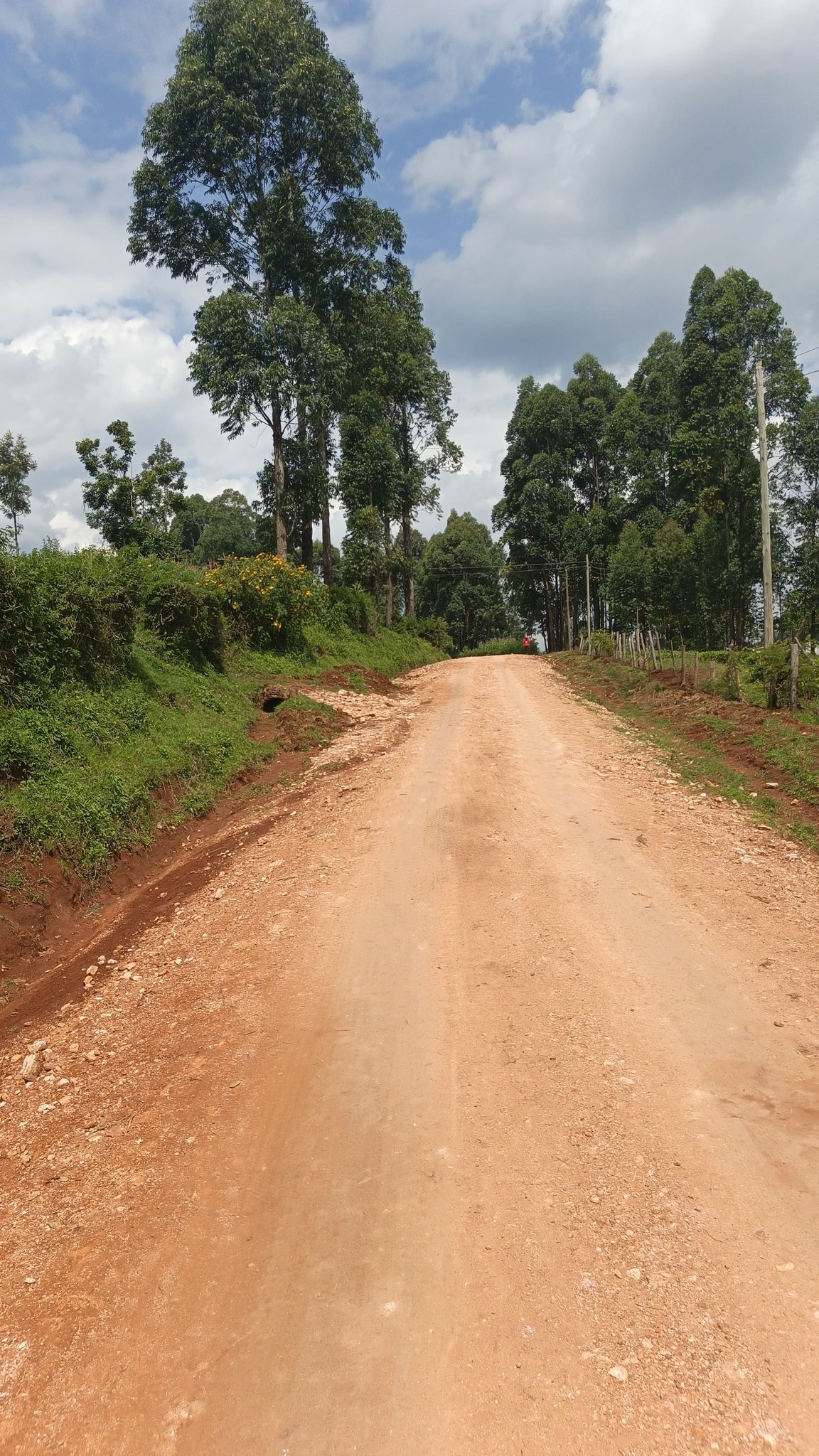 Rianchaga Egetugi Road